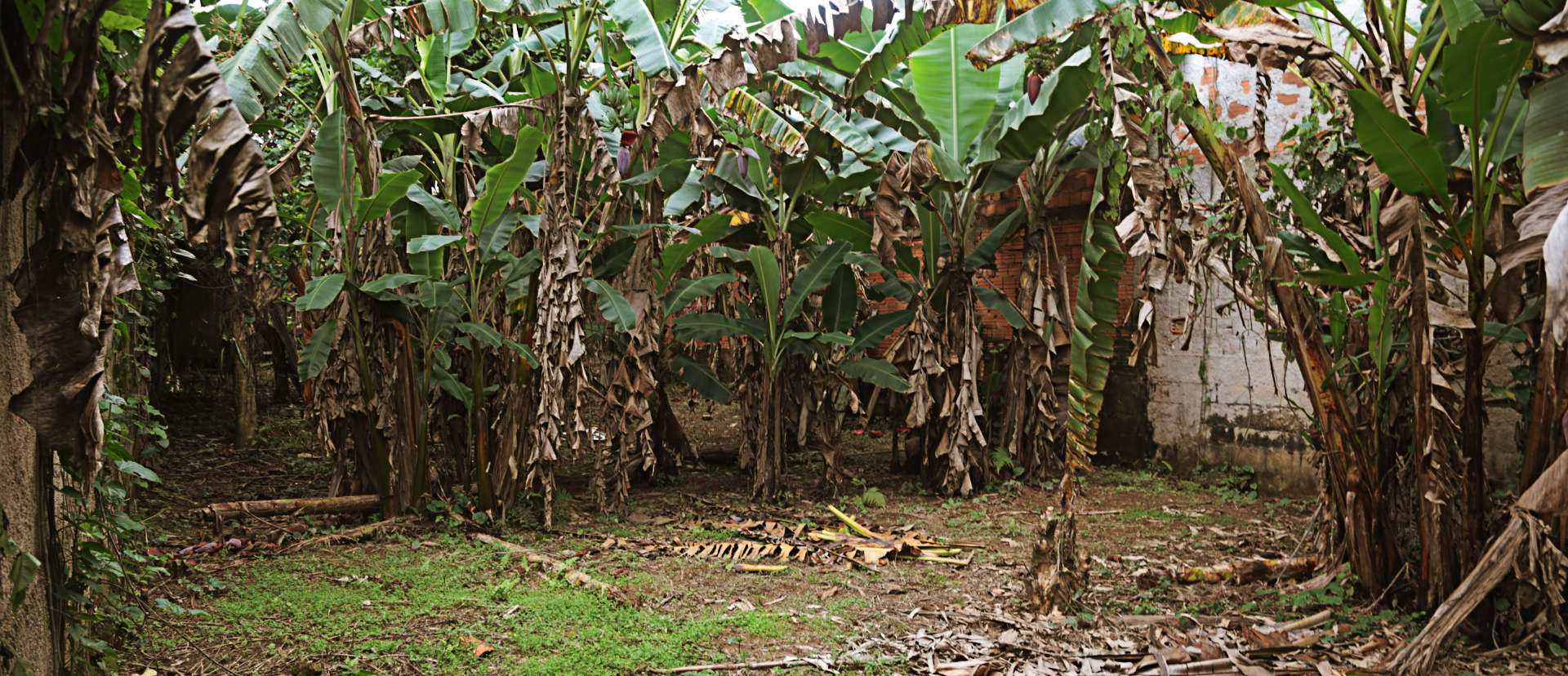 Terreno com 500 m² no bairro Princesa Isabel